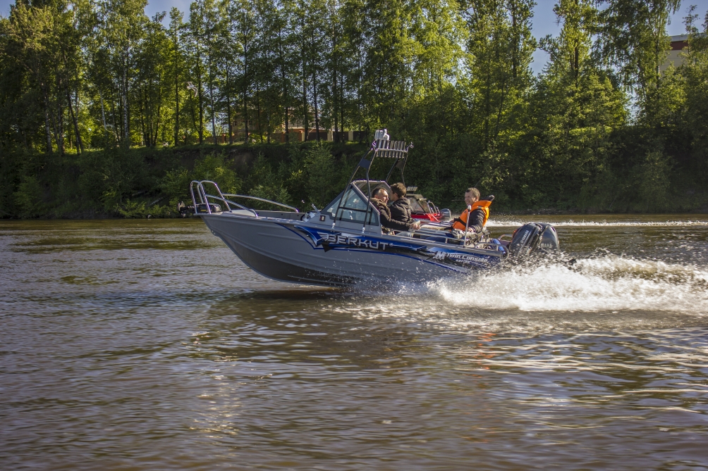 Berkut M-DC Standart Berkut M-DC Standart